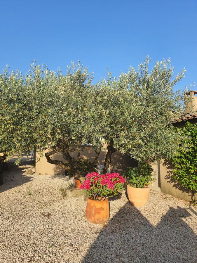 Villa L'Estagniol Lourmarin Extérieur photo
